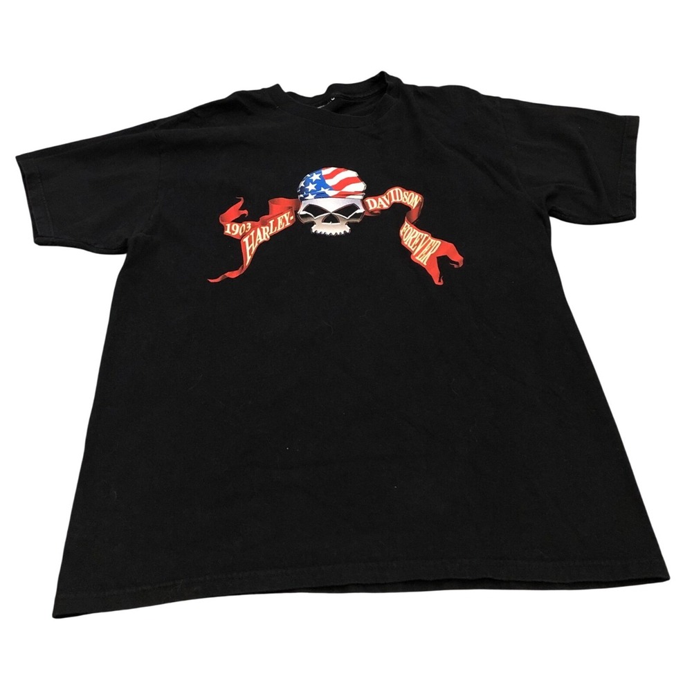 2001 Harley-Davidson Graphic T-Shirt Mens L/XL Black Skull USA Flag Burlington